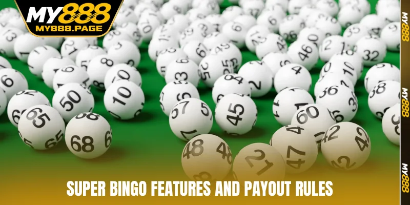 Super Bingo features and payout rules