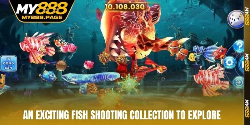 An exciting Fish Shooting collection to explore